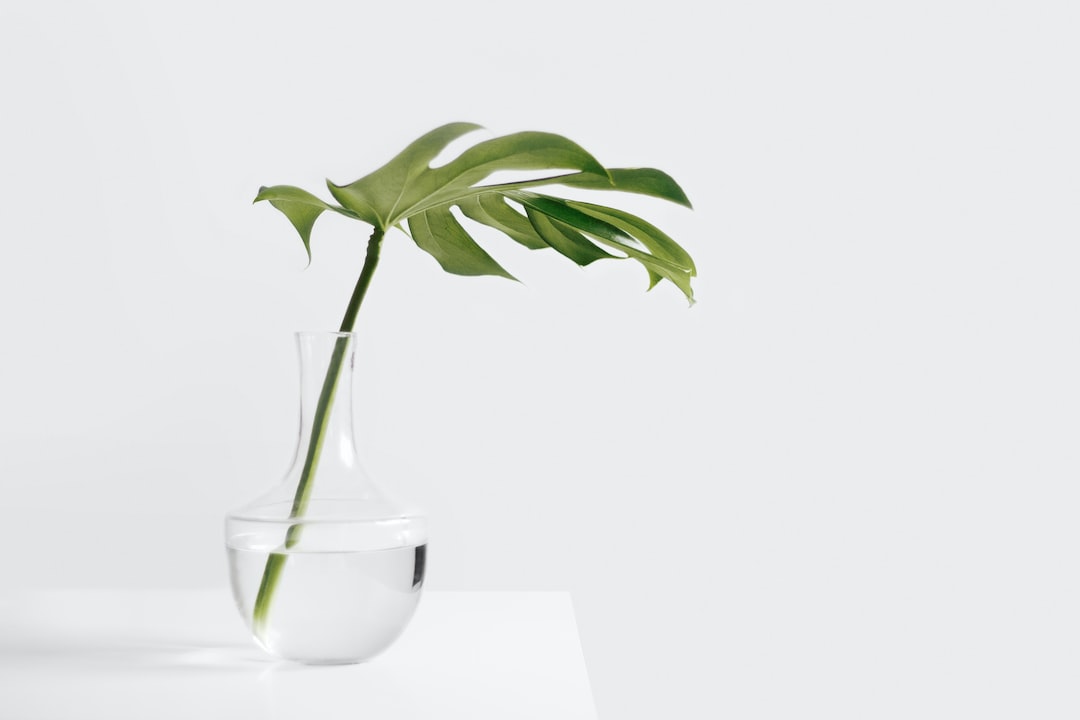 Decoding Designer Fragrances: Simplifying the Mystery