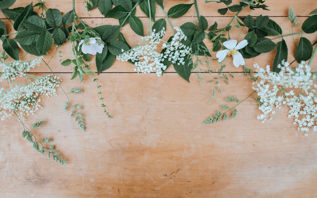 Vegan and Cruelty-Free: Ethical Fragrance Choices for April