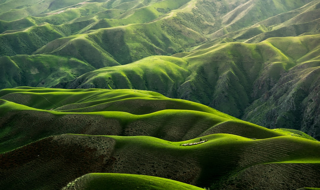 Earth Day Essentials: Eco-Friendly Fragrances to Try This April