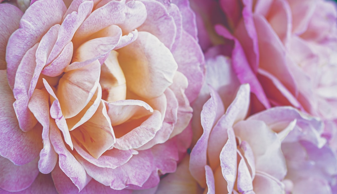 Easter Weekend Wonders: Fragrances to Refresh Your Holiday
