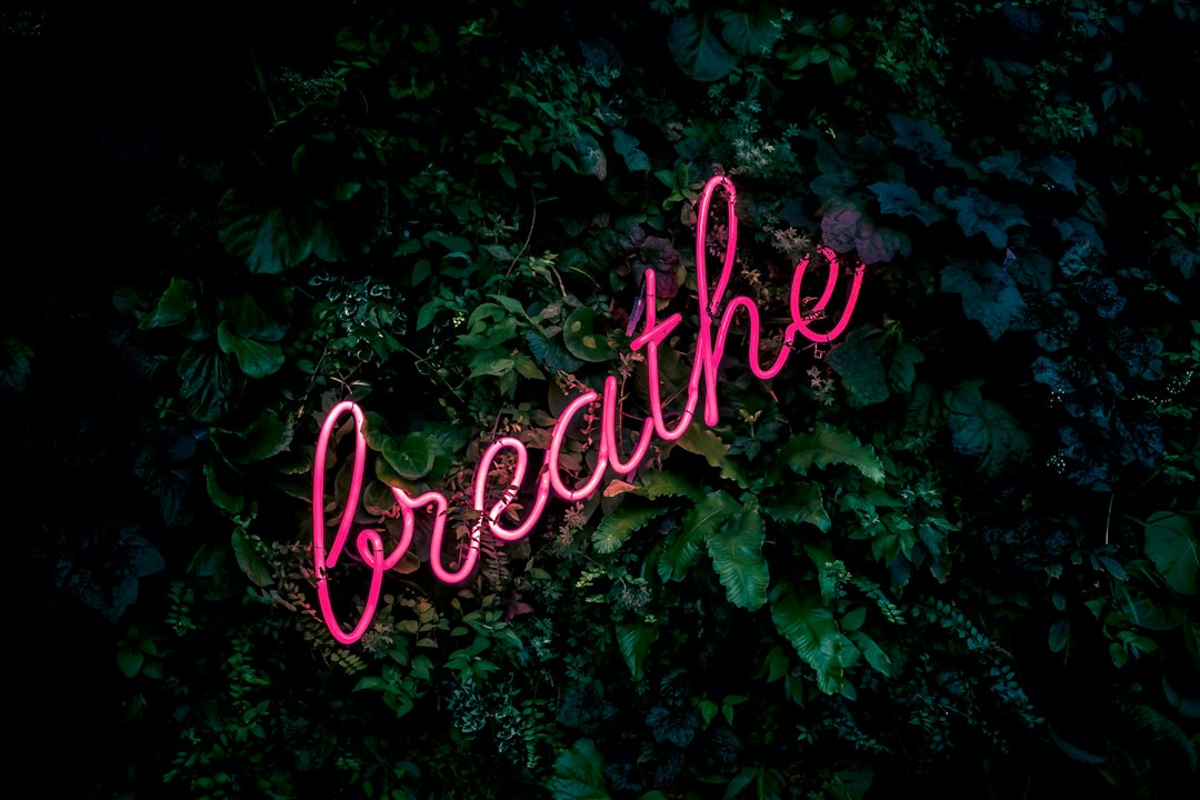 Embracing Aromatherapy: The Power of Fragrance for Wellness and Enhancing Well-Being