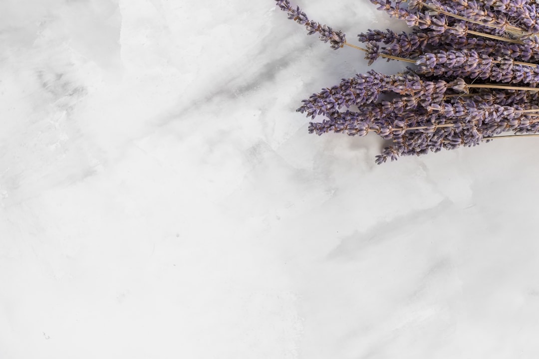 Seasonal Scents: How to Transition Your Fragrance Wardrobe into Spring
