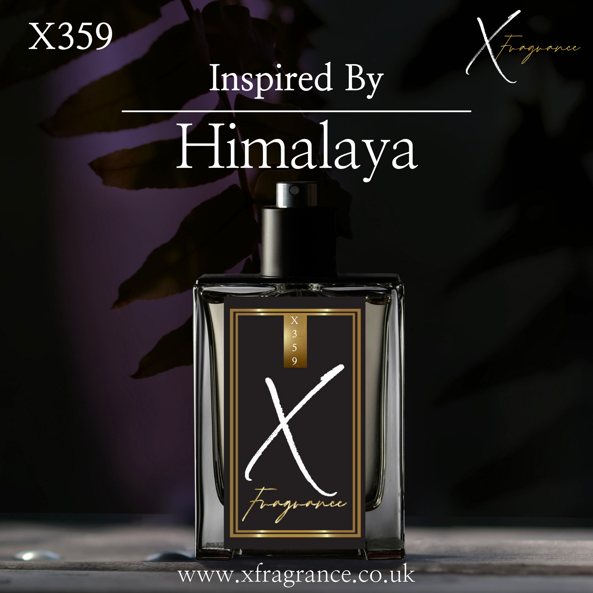 X Fragrance X359 – A Tribute to the Crisp Scent of Himalaya