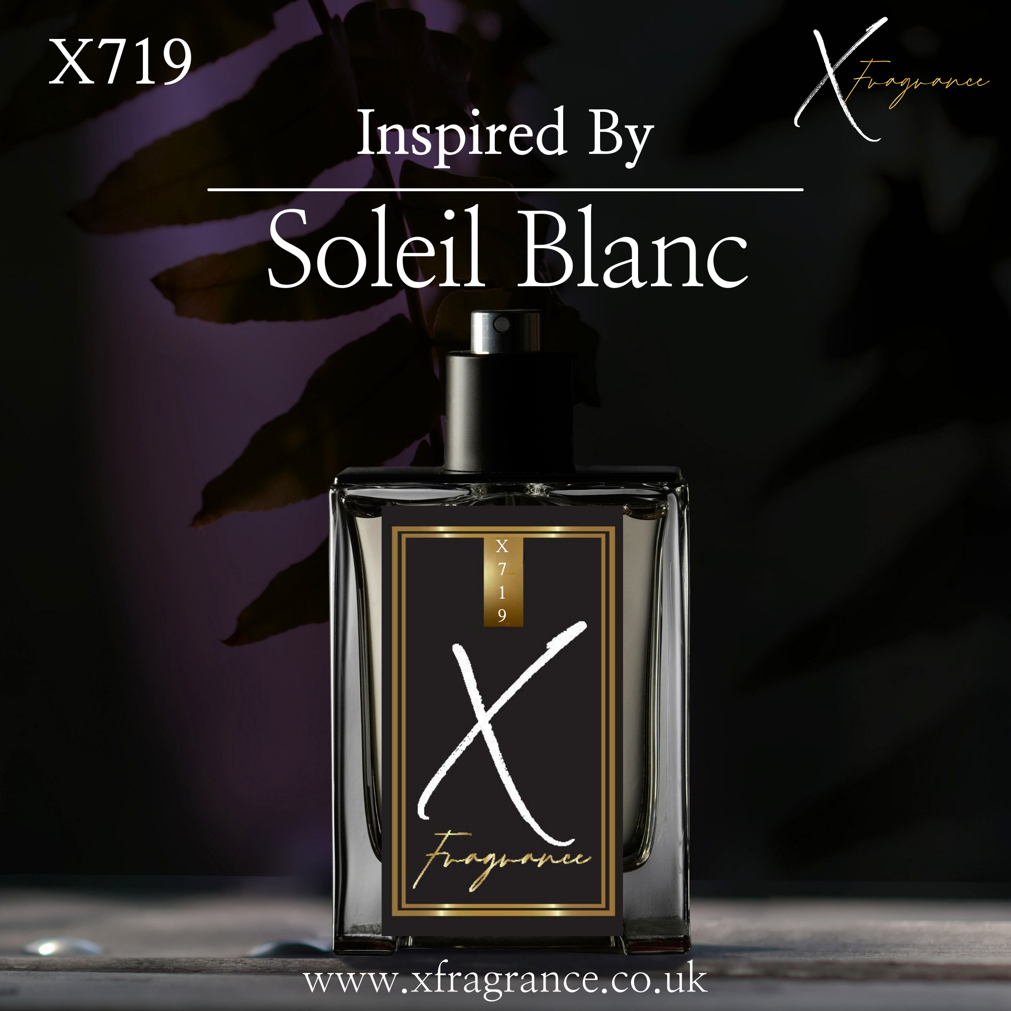 X Fragrance X719, an elegant perfume inspired by Soleil Blanc, displayed amidst a shadowy, floral backdrop